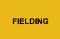 Fielding works - survey, audit and proposal